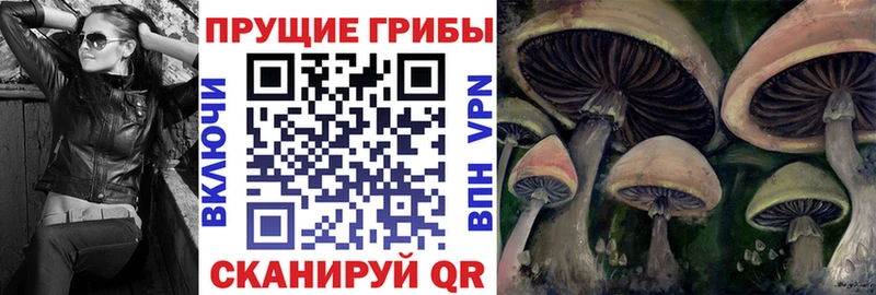 Галлюциногенные грибы мухоморы  где купить   Курчалой 
