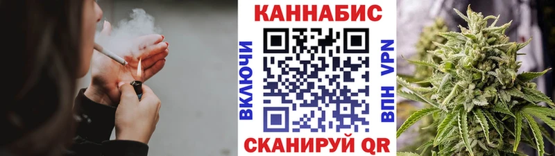 Бошки марихуана сатива  Курчалой 